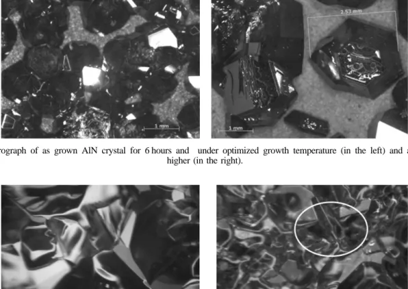 Fig. 9. Micrograph of as grown AlN crystals for 6 hours at higher growth temperature (in the left) and more higher (in the right).