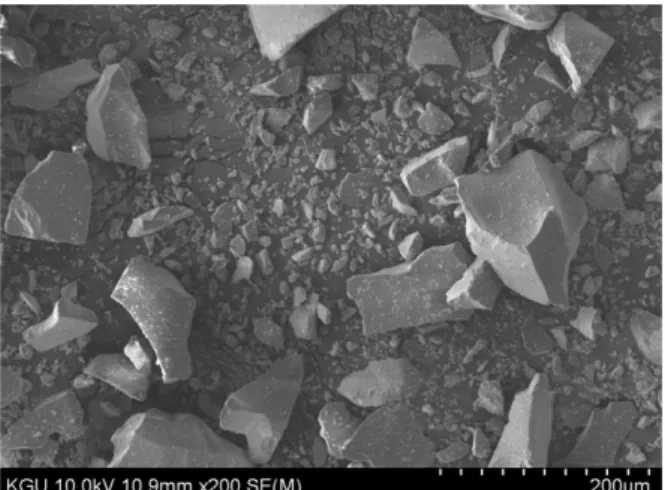 Fig. 1. SEM image of as-received MSWIA slag.