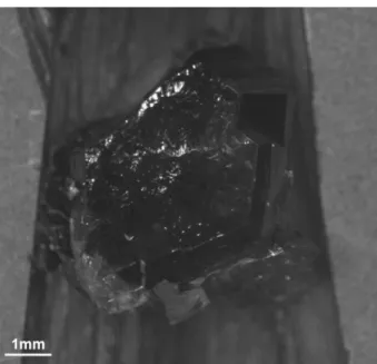Fig. 2. Micrograph of seed crystal having a size of about 5 mm used in the growth of large AlN crystal.