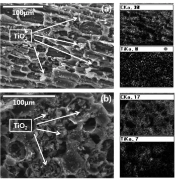 Fig. 4. SEM and EDS morphologies of TiO 2  powder-coated AC prepared at 150 o C.