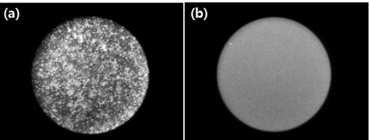 Fig. 2. SEM images of GaN layers with metal buffer layers (a) without TMG pre-flow (b) with TMG pre-flow.