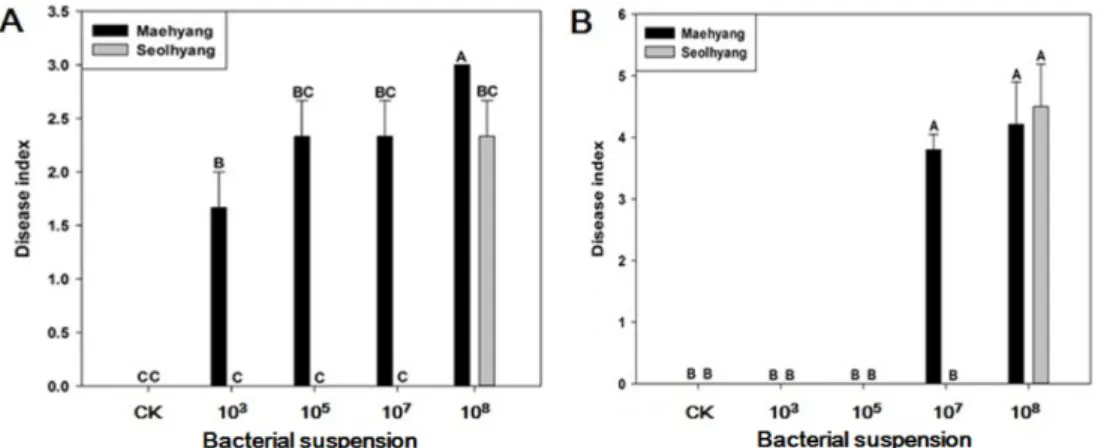 Fig. 4. Disease index of bacterial angular leaf spot caused by on Strawberry leaf. A: X
