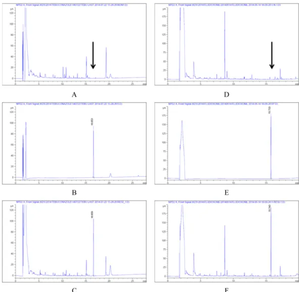 Fig. 2. Average of residual amounts of tebuconazole and fludioxonil.