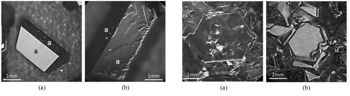 Fig. 6. 3-Dimensional model on crystal growth, Burton-Cabrera-Frank model [8].
