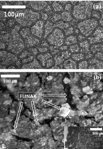 Fig. 3. Surface SEM micrographs of Inconel 617 alloy (a) heat treated at 1000 o C for 24 h under air atmosphere revealing the grain boundary structures with Cr 2 O 3  crusts and (b) corroded and ruptured pipe (shown in Fig