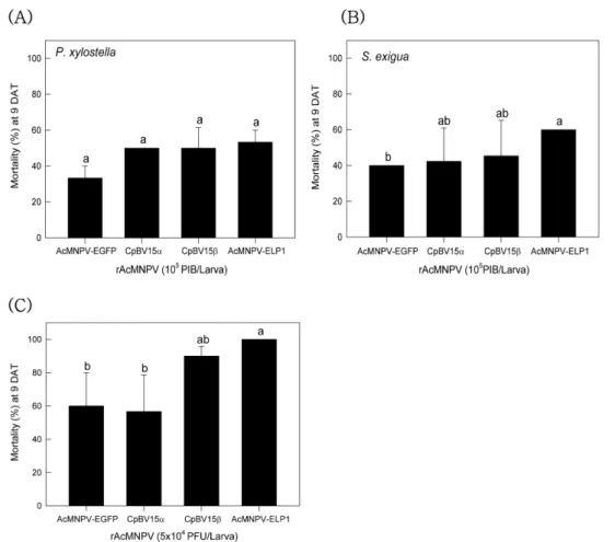 Fig. 1. Toxicity of different recombinant AcMNPV (‘rAcMNPV’) against two different lepidopteran insects