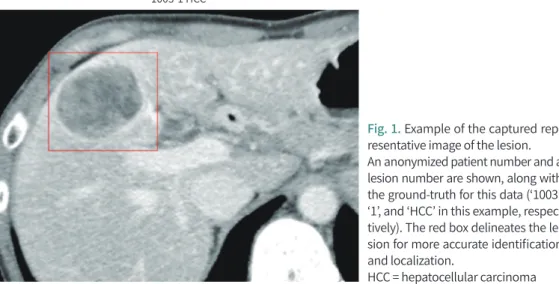 Fig. 1. Example of the captured rep- rep-resentative image of the lesion. 