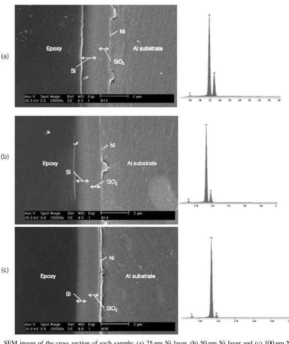 Fig. 6 의 (a)~(c)는  각각 Diffusion layer로써 Ni layer 를 25 nm, 50 nm, 100 nm 두께로  증착하고  결정화를 위한 열처리를 거친 시편의 단면을 SEM을 통해 관측한 사진이다