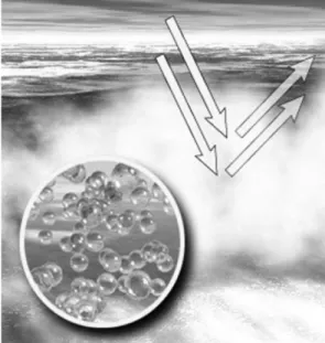 Fig. 6. Rainbow crystal  ②.