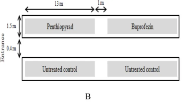 Table 2. Guidelines for the safe use of pesticides and their MRLs