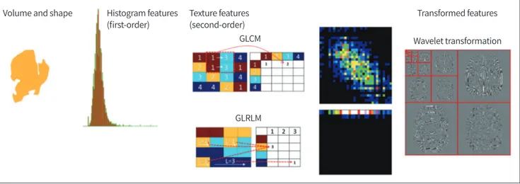 Fig. 6. Common radiomic features of volume and shape describing morphology, a first-order feature describing intensity histogram using  first-order statistics, textural features describing a GLCM and GLRLM computing relationship between adjacent voxels, an