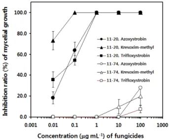 Fig. 7. Effect of three fungicides as azoxystrobin, kresoxim- kresoxim-methyl and trofloxystrobin including strobilurin group on the mycelial growth of Botrytis cinerea on PDA with 100 µg mL −1 .
