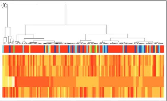 Fig. 1. Unsupervised hierarchical clustering analysis of the enrolled cases with differently expressed genes (A)  and differently extracted radiomic features (B)