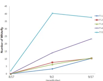 Fig. 2. TYLCV occurrence degree in T1 and T5. Symptom of TYLCV can be distinguished between A and B by their height of tomato plants.