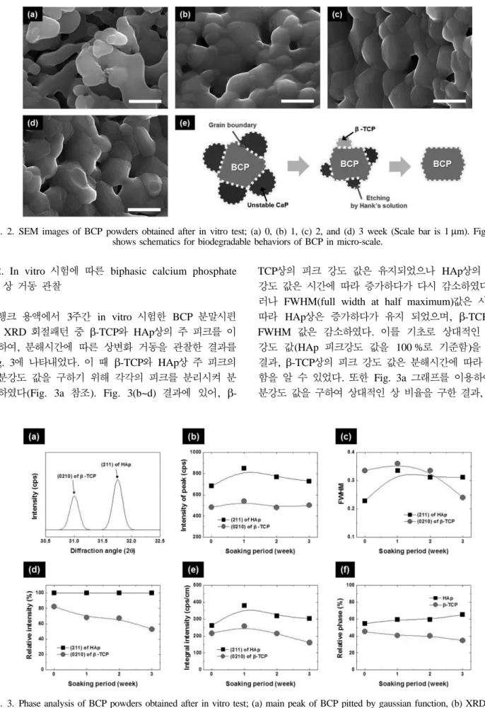 Fig. 2. SEM images of BCP powders obtained after in vitro test; (a) 0, (b) 1, (c) 2, and (d) 3 week (Scale bar is 1 µm)