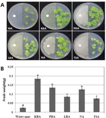 Fig. 2. Growth promotion differences of tobacco plants in the presence of Ba(OH) 2.  A