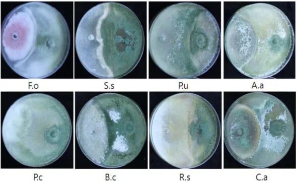 Table 1. Suppression of mycelial growth by a selected Trichoderma strain against eight major fungal pathogens