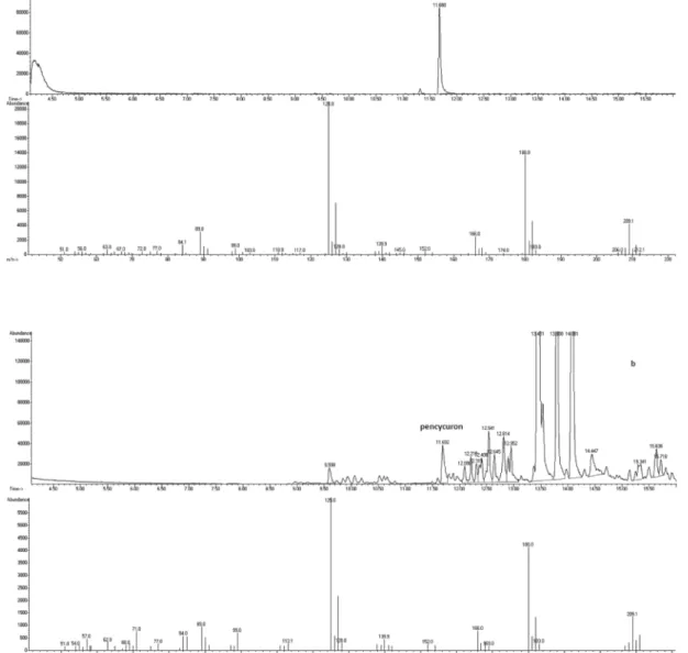 Fig. 3. GC-MSD total ion chromatogram and mass spectrum (a) standard, (b) spiked standard in lettuce (1 mg/kg).