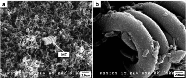 Fig. 6. FESEM images of the CNFs-deposited substrate for sample B (a) at the center position on the substrate and (b) its magnified image