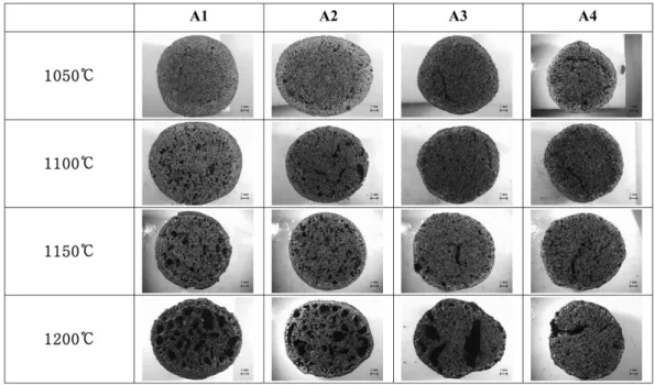 Fig. 6. The cross sectional morphologies of ALA prepared from EAF dust 10 % at different sintering temperature.
