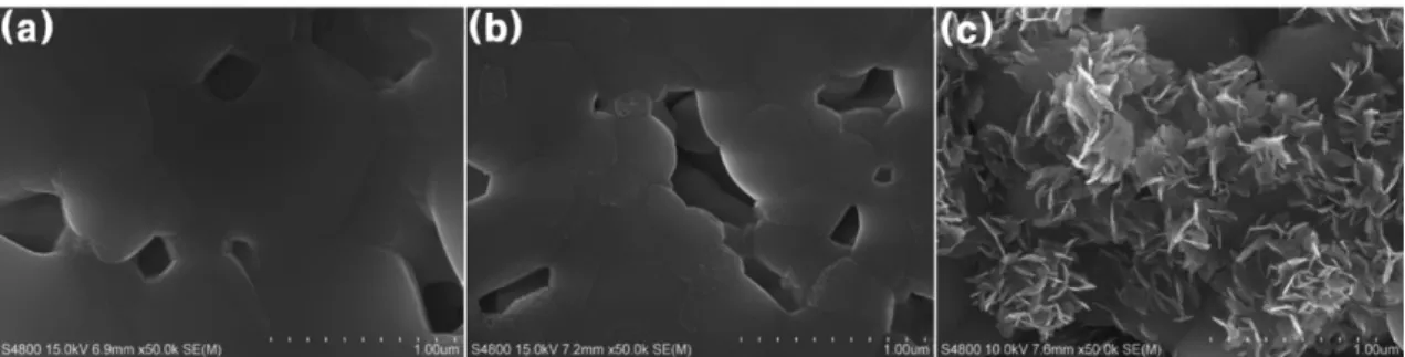 Fig. 8. SEM micrographs of the surface of the Mg-BCP pallets after soaking in Hank’s solution for 2 weeks; (a) BCP, (b) 0.5 wt%