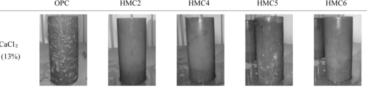 Fig. 4. Comparison of various cement sample’s chemical resistance to CaCl 2  (13%).