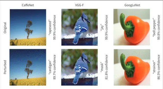 Fig. 2. Examples of adversarial attack on various deep learning models with “universal adversarial perturba- perturba-tions”