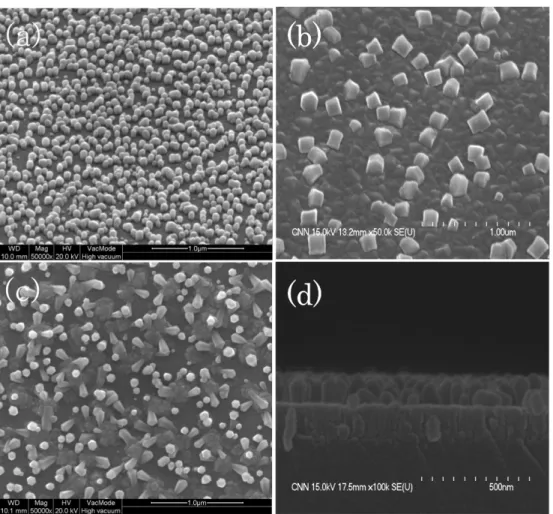 Fig. 1. The SEM images of InGaN nano-structures grown on c-sapphire substrate (a) without Sb, (b) and (c) with Sb and (d) cross- cross-sectional SEM image of InGaN structures.