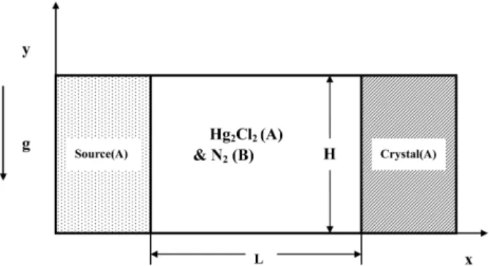Fig. 1. Schematic of PVT growth reactor in a two-dimensional rectangular system.
