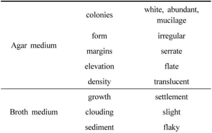 Fig. 1. Cultural characteristics of B. subtilis KYS-10 on the PDA.