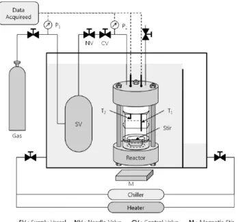 Fig. 1. Morphology experimental apparatus.