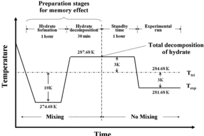 Fig. 2. Transient change of temperature during preparation stages and experimental run at 1 MPa.