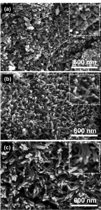 Fig. 2. SEM images of the as-dried powders precipitated at pH = 10 with various Ca/P ratios; (a) 1.500, (b) 1.602, and
