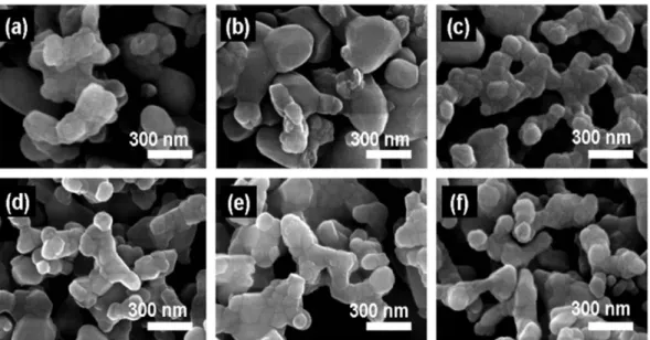 Fig. 5. SEM images of the as-calcined powders with various starting Ca/P ratios; (a) 1.534, (b) 1.550, (c) 1.568, (d) 1.619, and (e) 1.636.