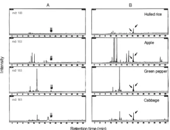 Fig. 9. GC/MS EI SIM chromatograms of sample extracts for  the confirmation of phenothrin residues