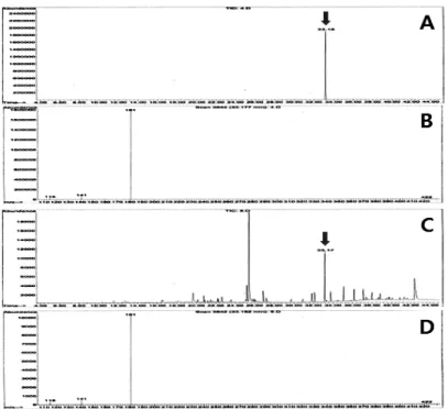 Fig. 2. Typical total ion chromatograms (TICs) and GC-MSD spectra of bifenthrin standard and extract of perilla leaves.