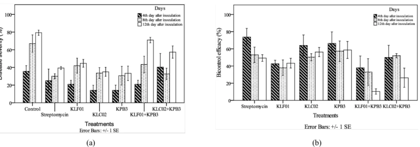 Fig. 2. Disease severity (a) and bio-control efficacy (b) of soft rot on Chinese cabbage by application of KLF01, KLC02 and KPB3  after inoculation of Pcc under greenhouse