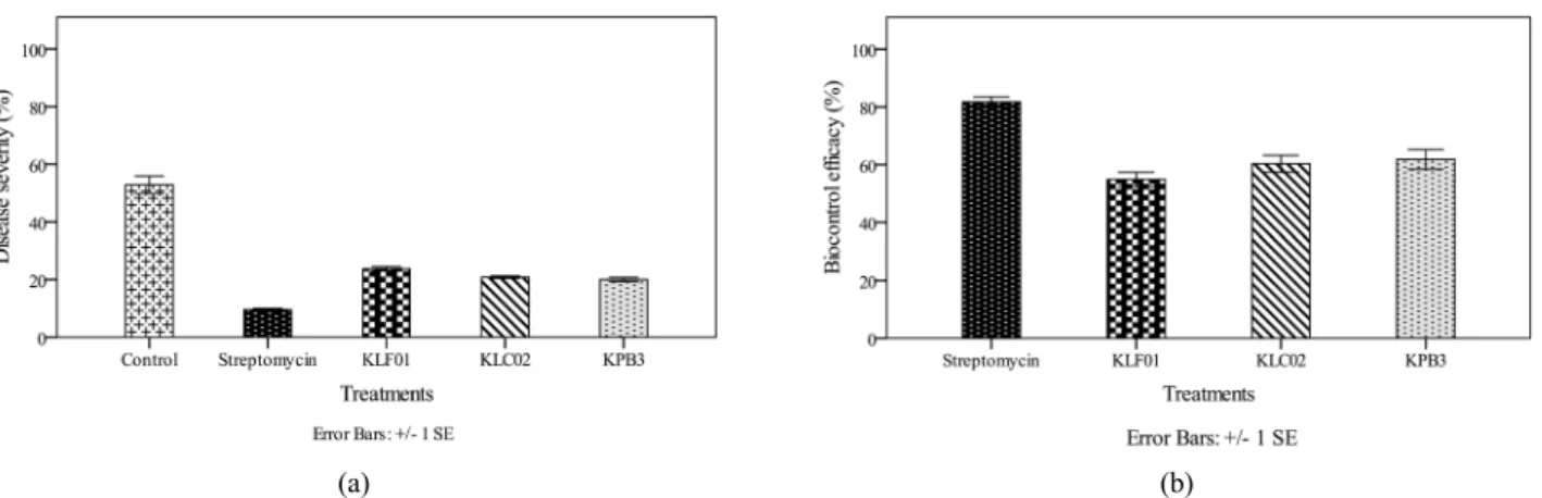 Fig. 3. Disease severity (a) and Bio-control efficacy (b) of soft rot on Chinese cabbage by application of KLF01, KLC02 and KPB3  after inoculation of Pcc under field