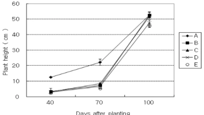 Fig. 5. Days to emergence of Zantedeschia cv. Black Magic as  affected by irrigation method