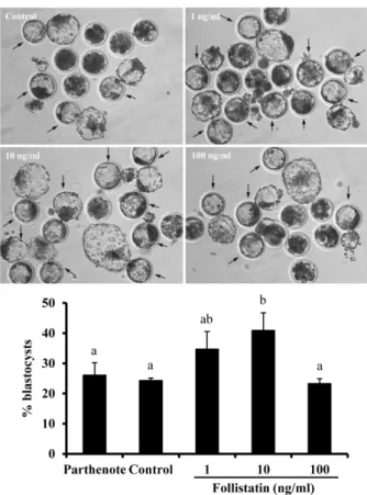Fig. 1. Effect of follistatin treatment on development of nuclear  transfer embryos to the blastocyst stage
