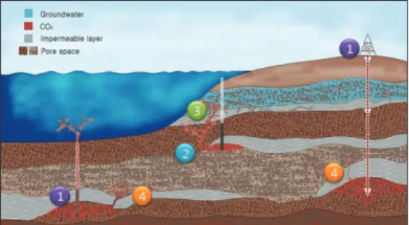 Figure 1.  Potential pathways of CO 2 leakage