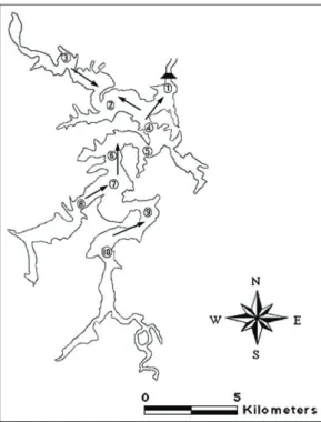 Fig. 3.  Variation of outflow