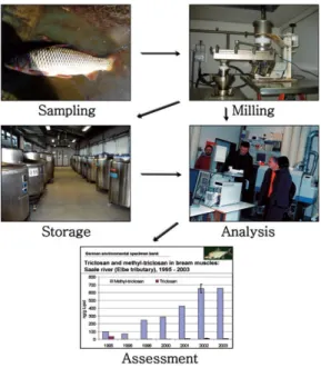 Figure 3. General Process of Environmental Specimen Bank Source: Kim, 2007