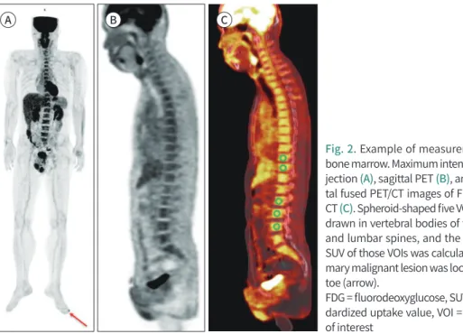 Fig. 2. Example of measurement of  bone marrow. Maximum intensity  pro-jection (A), sagittal PET (B), and  sagit-tal fused PET/CT images of FDG PET/