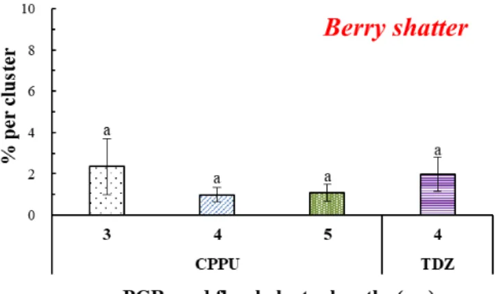 Fig. 4. Effect of floral cluster pruning and cytokinin-like plant growth regulators on the occurrence of  berry shatter in ‘Shine Muscat’ grapes stored at low temperature (3 ± 1℃, 80% RH) for 2 months