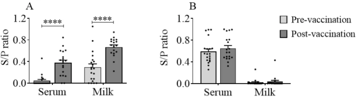 Fig. 1. Specific antibodies (sample to positive, S/P ratio) in lactating cows. Cows reared in a natural  environment on the farm were vaccinated for bovine respiratory diseases (BRDs)