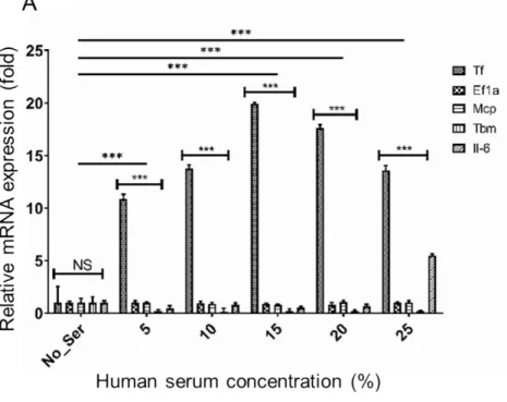 Fig. 2. Upregulation of porcine tissue factor gene in response to human serum in porcine aortic endothelial  cell (pAEC)