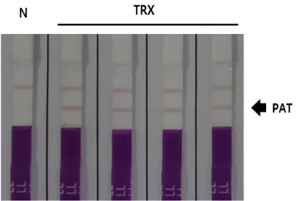 Fig. 3. Theoredoxin (TRX) protein levels (ng·g -1  dry weight) in non-genetically modified soybean (Gwangan)  and TRX transgenic soybean