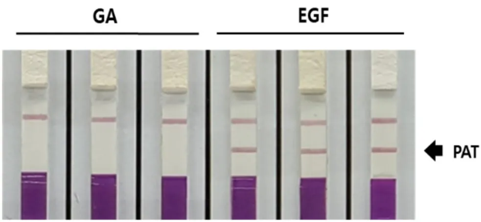 Fig. 3. EGF protein levels (ng·g -1  dry weight) in non-genetically modified soybean (Gwangan) and EGF  transgenic soybean