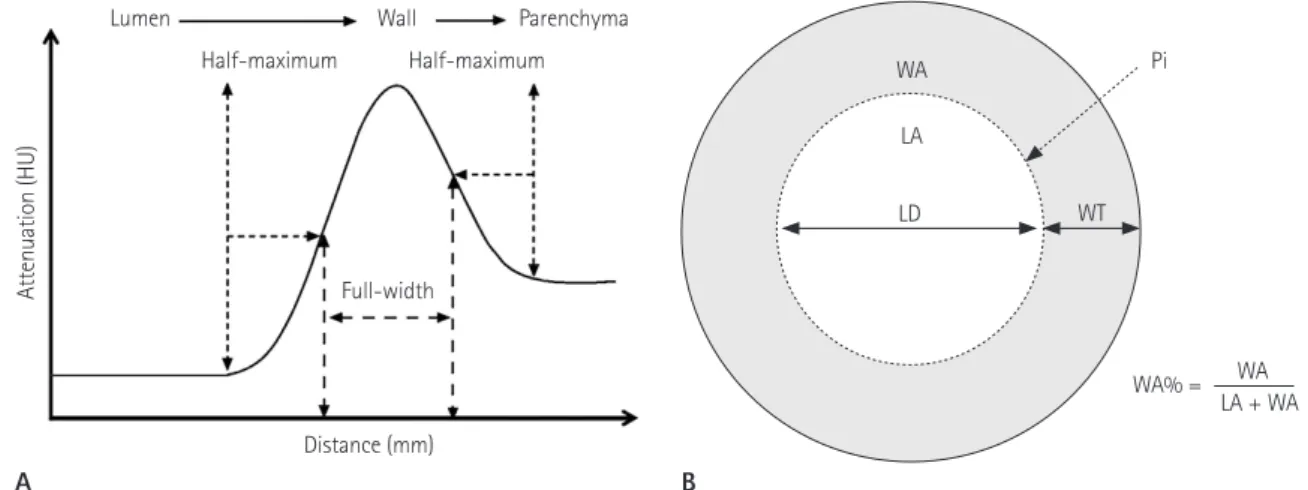 Fig. 3. Full-width at half-maximum method and commonly measured airway parameters.